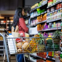 Personal errand services